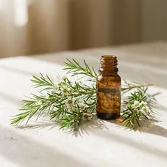 Tea Tree Oil
