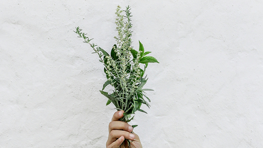 The Dangers of Using Home Remedies Against Nail Fungus